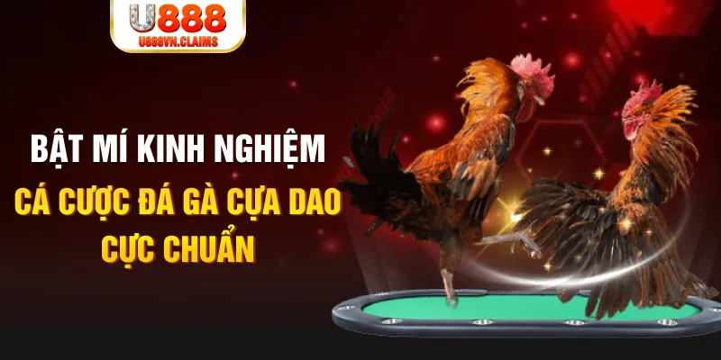 sv388 link casino hồ tràm có cho người việt vào không