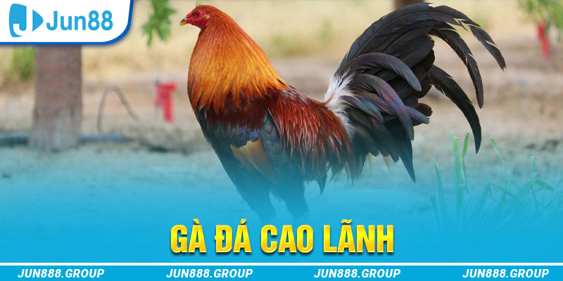 sv388 link tai game vua bai ve may tinh
