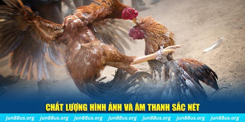 sv388 link tai game danh bai mien phi ve may tinh
