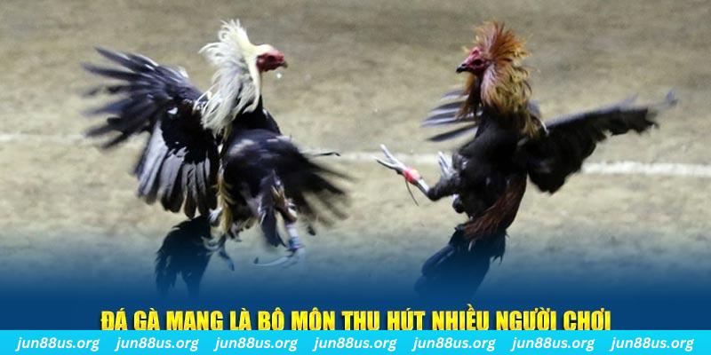 sv388 link đăng nhập sòng bạc số 1