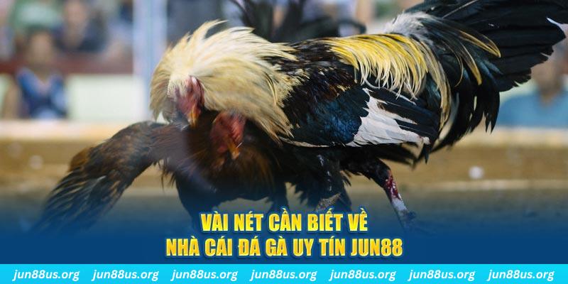sv388 link Jones Chuối