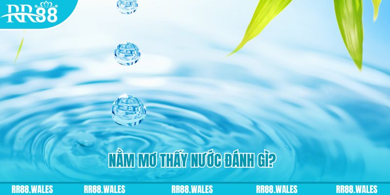 sv388 link xổ số trực tiếp miền bắc