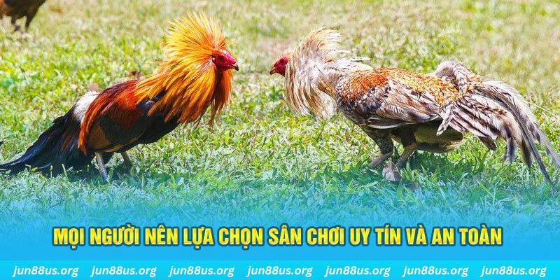 sv388 link đăng nhập poker 2025