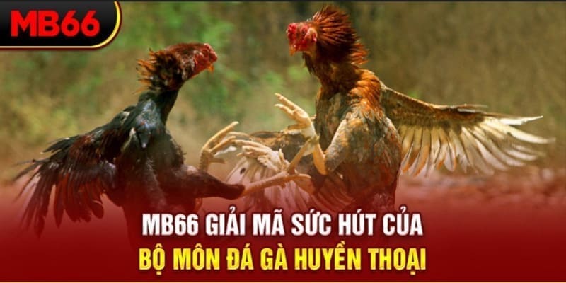 sv388 link xổ số đài bắc