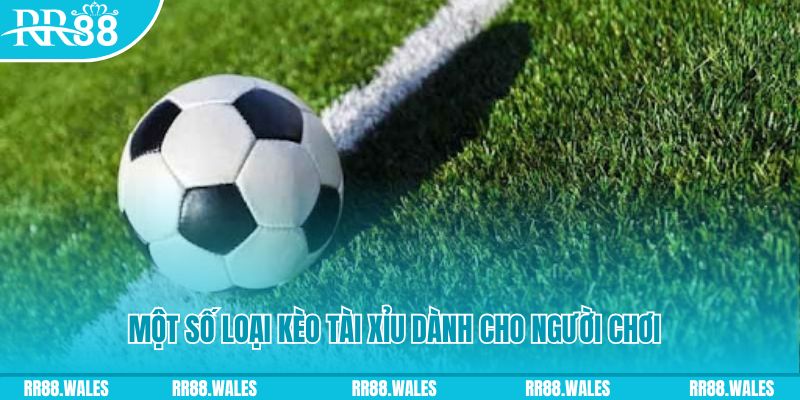 sv388 link slot nghĩa là gì