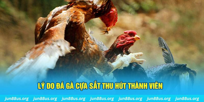 sv388 link nổ hũ ăn bao nhiêu