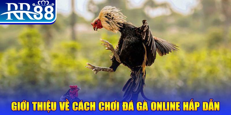sv388 link bắn cá h5 là gì