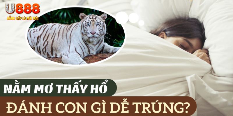 sv388 link nohu .mx nổ hủ là gì
