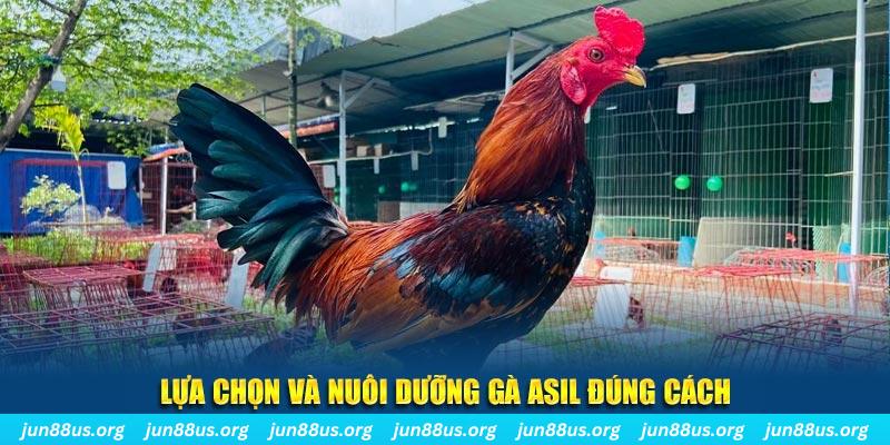 sv388 link nổ hũ thần tài là gì