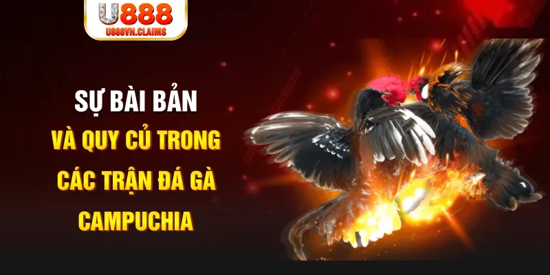 sv388 link game xếp bài trên máy tính
