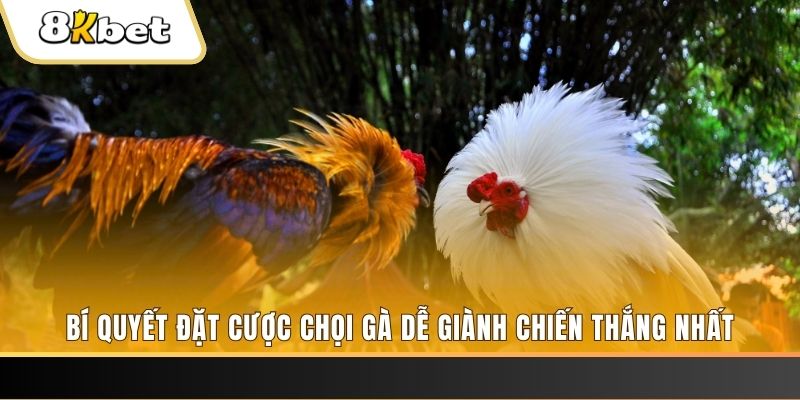sv388 link nổ hũ chơi như thế nào
