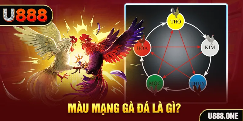 sv388 link V8 Game Bài 3d