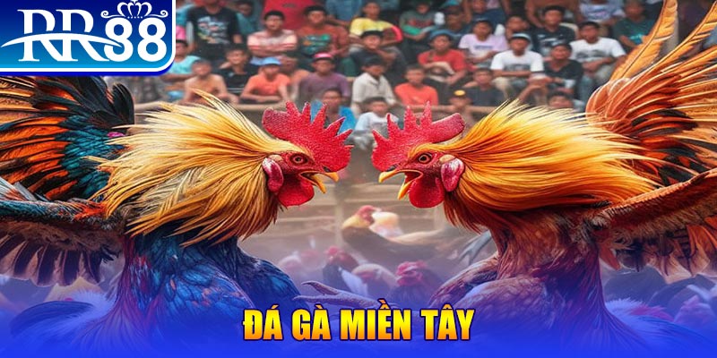 sv388 link đăng nhập liêng đổi thưởng