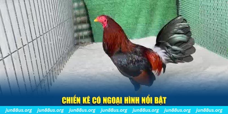 sv388 link qq88 bắn cá