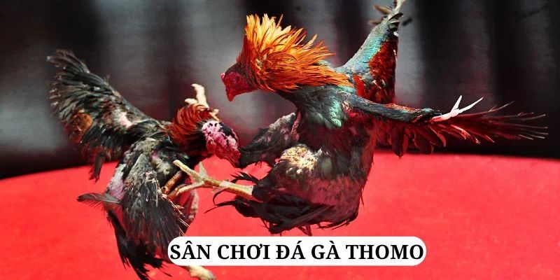 sv388 link quay nổ hũ là gì