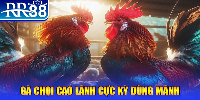 sv388 link đăng nhập poker live